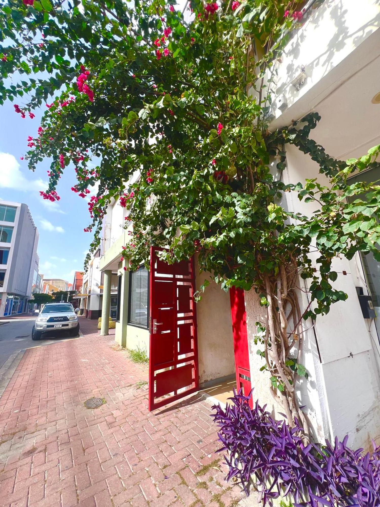 וילמסטאד Dushi Apartments מראה חיצוני תמונה
