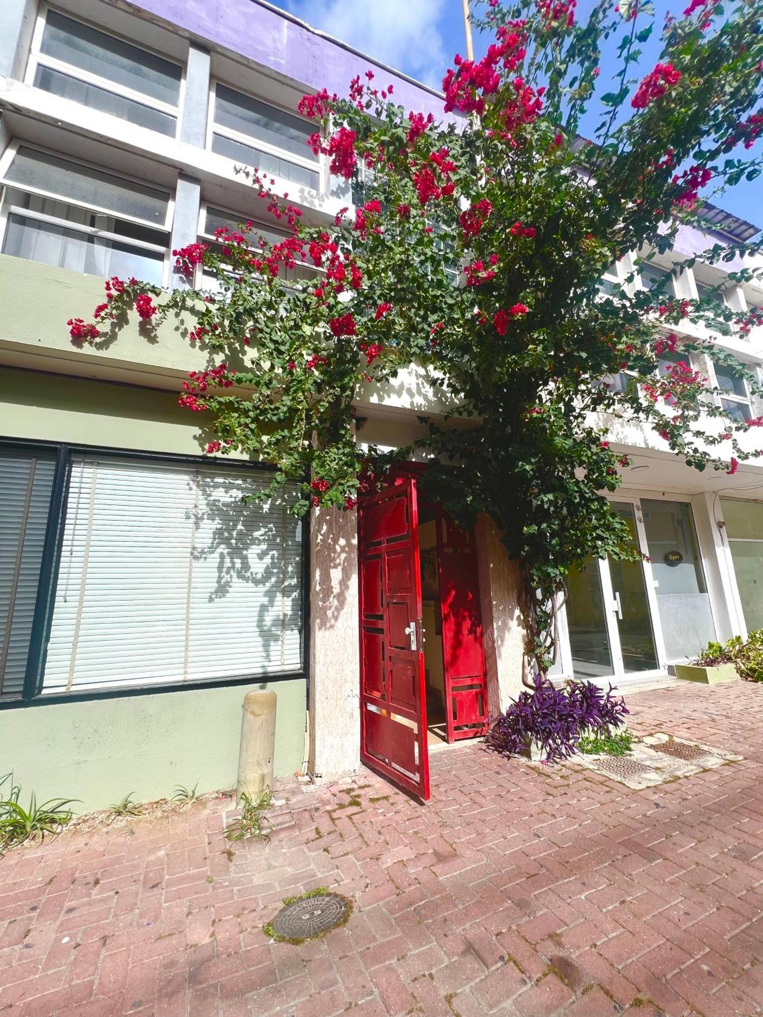 וילמסטאד Dushi Apartments מראה חיצוני תמונה